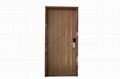 wood fire door with narrow 1