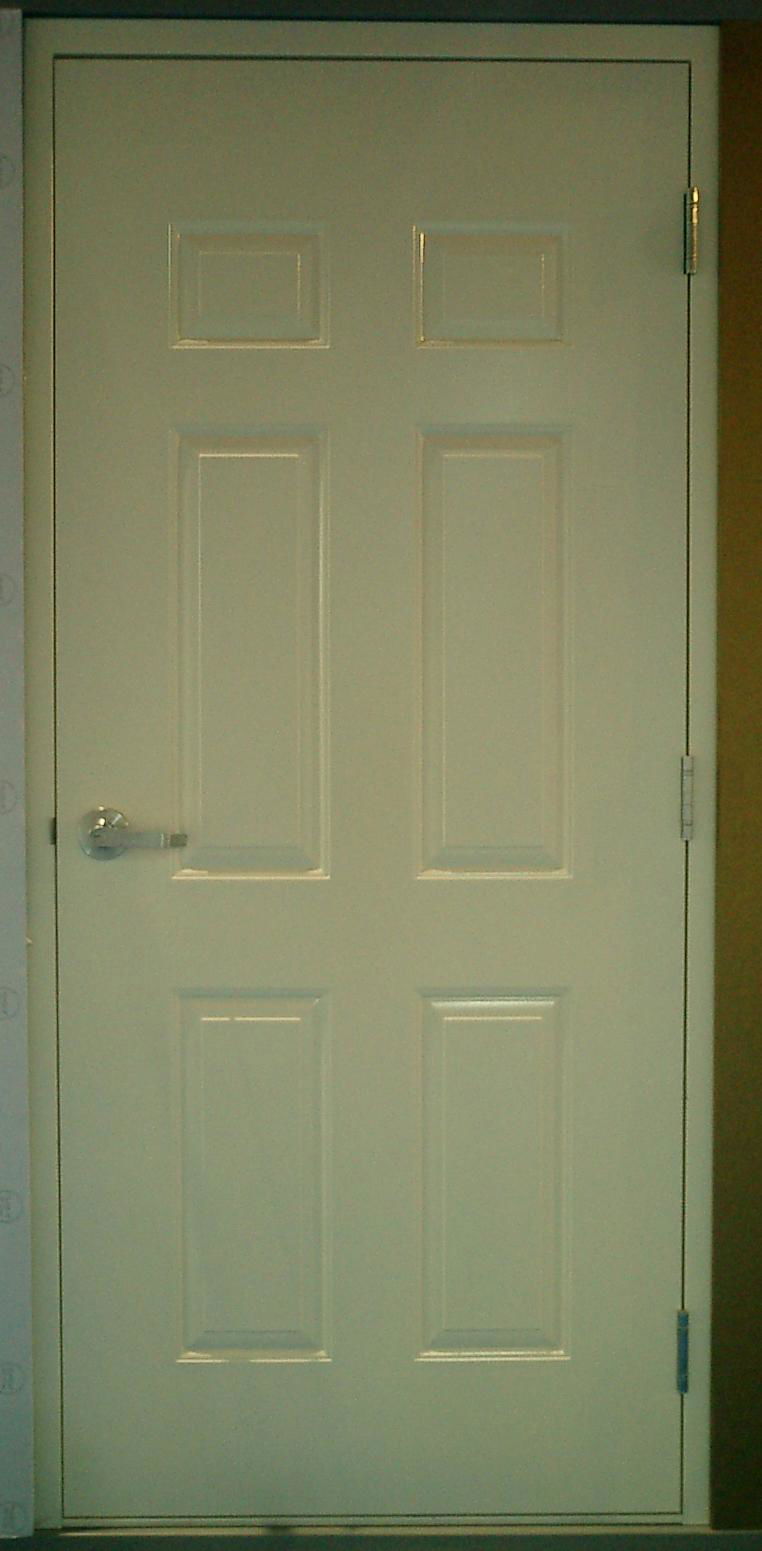 Steel fire door with panel