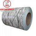 Prepainted galvanized steel coil 1