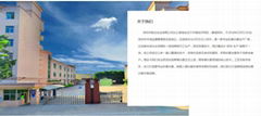 Shenzhen Qianzhong Industrial Co., Ltd