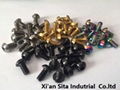 Titanium Screw and nuts