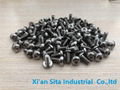 Titanium Screw and nuts 2