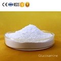 氨基葡萄糖盐酸盐 2