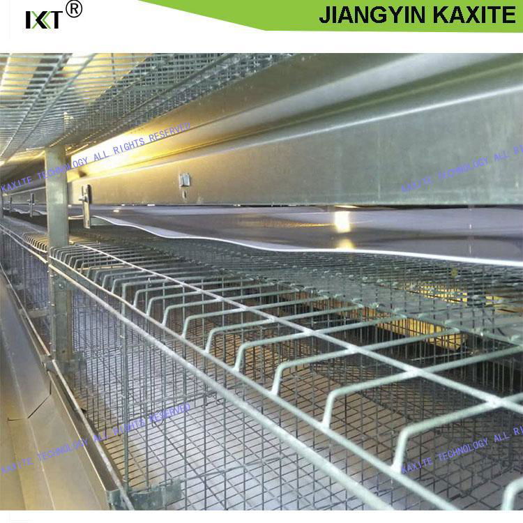PP Manure Belt With Best Price For Chicken Cage 3