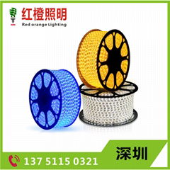 LED high Voltage strips light