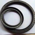 TB OIL SEALS  1