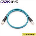 Cognxe康耐视IS2000视觉系统800-5740-1工业相机线 2