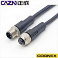 COGNEX康耐視 In-Sight 5610 高性能工業相機線 2