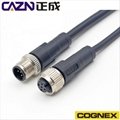 康耐視COGNEX工業相機線I