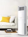 Frequency Conversion Vertical Air Conditioning in Living Room