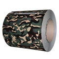 Camouflage pattern PPGI For Military 1