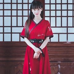 2019 Light Flower Daily Chinese Embroidered Short-sleeved Hanfu Skirt