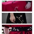 2019 Light Flower Daily Chinese Embroidered Short-sleeved Hanfu Skirt 4