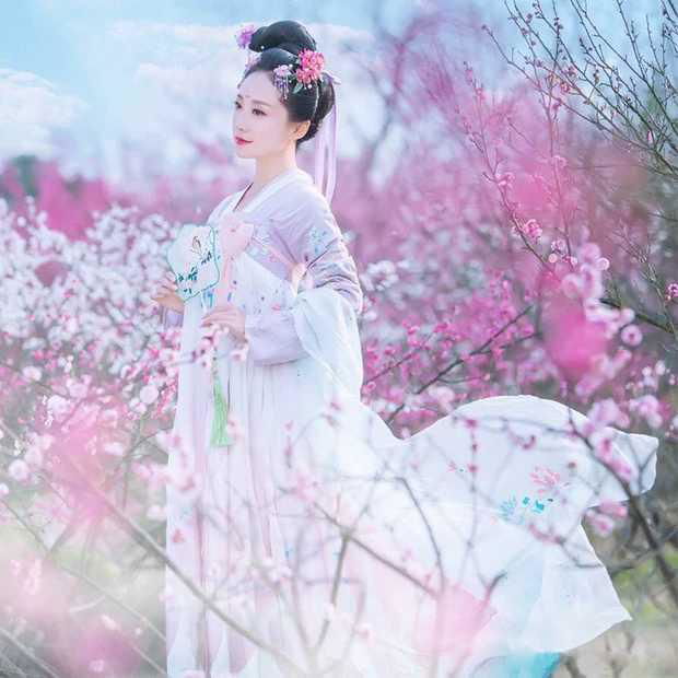 Bu Toad Hall Weijin Fenggeluan Skirt Hanfu Clothing 5