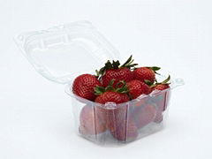 Disposable Plastic Blistier Fruit Packing Box