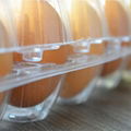 Disposable Blister Plastic Egg Tray