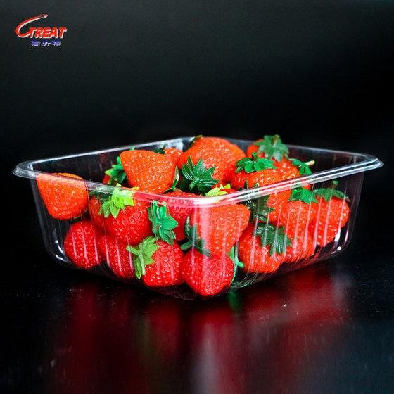 High Quality China Supply Cheap Disposable Plastic Blistier Fruit Packing Box