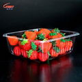 High Quality China Supply Cheap Disposable Plastic Blistier Fruit Packing Box 1