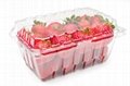 High Quality China Supply Cheap Disposable Plastic Blistier Fruit Packing Box 2