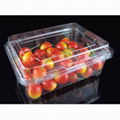 High Quality China Supply Cheap Disposable Plastic Blistier Fruit Packing Box 5