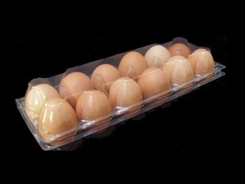 Disposable plastic egg tray packaging carton with hanger