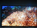 55 inch outdoor Sunlight readable LCD Panel with LVDS 3