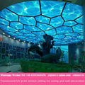 lack matt glossy translucent uv print pvc stretch ceiling film