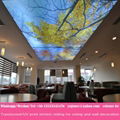 lack matt glossy translucent uv print pvc stretch ceiling film 5