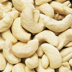 Grade A High Quality Cashew Nuts Organic