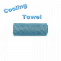 Cooling Towel 1