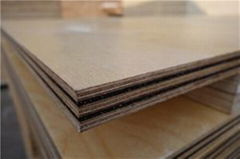 HPL veneer composite plywood for high speed train