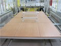 Manufacture supply birch plywood with