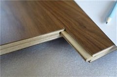 Multi-layer laminate flooring plywood with 100% birch