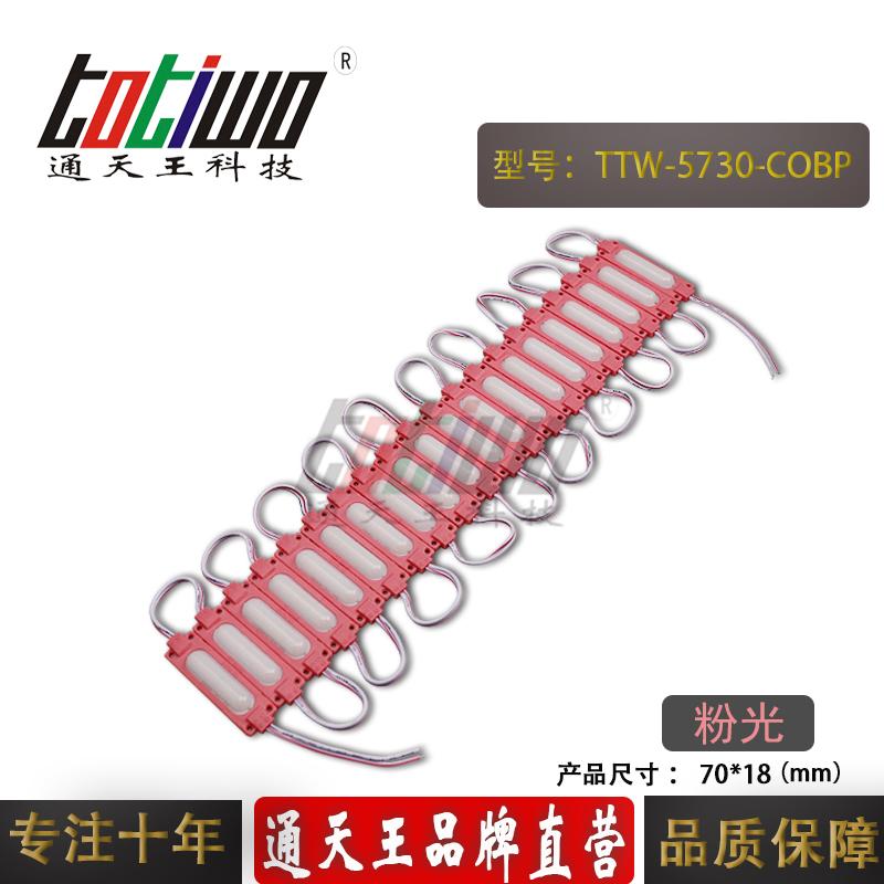 LED模組大功率光源COB模組燈箱廣告牌發光字5730高亮注塑防水粉色