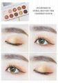 Tasu matte pumpkin mocha ten shades of eye shadow 4