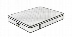 Wholesale can customized Euro top Compressed Spring Mattress 