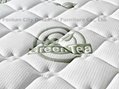 pocket spring latex mattress green tea plant knitted fabric compression mattress