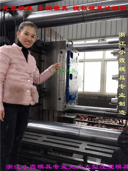 貨架地台板模具小霞模具值得信賴 5