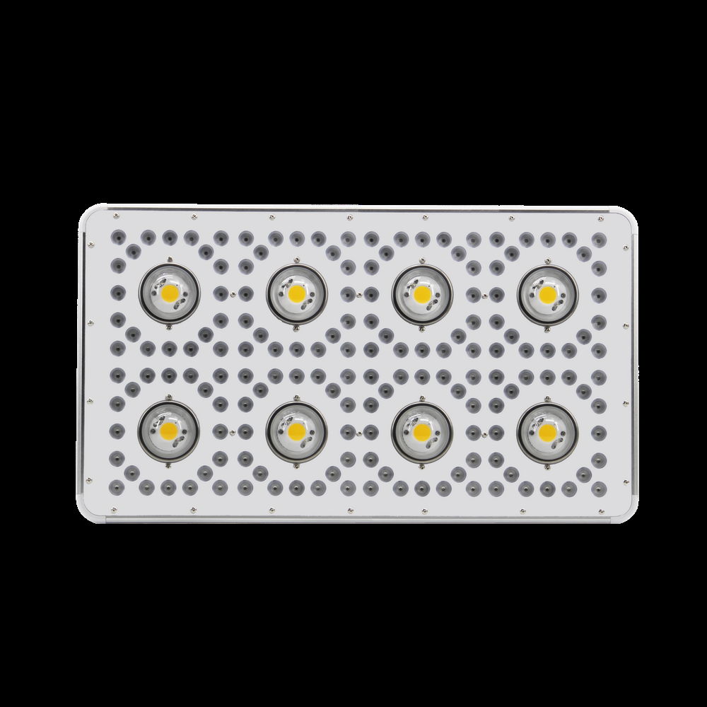 Full Spectrum COB 3w chip 3500k led grow light 900w 800w Led Grow Light 