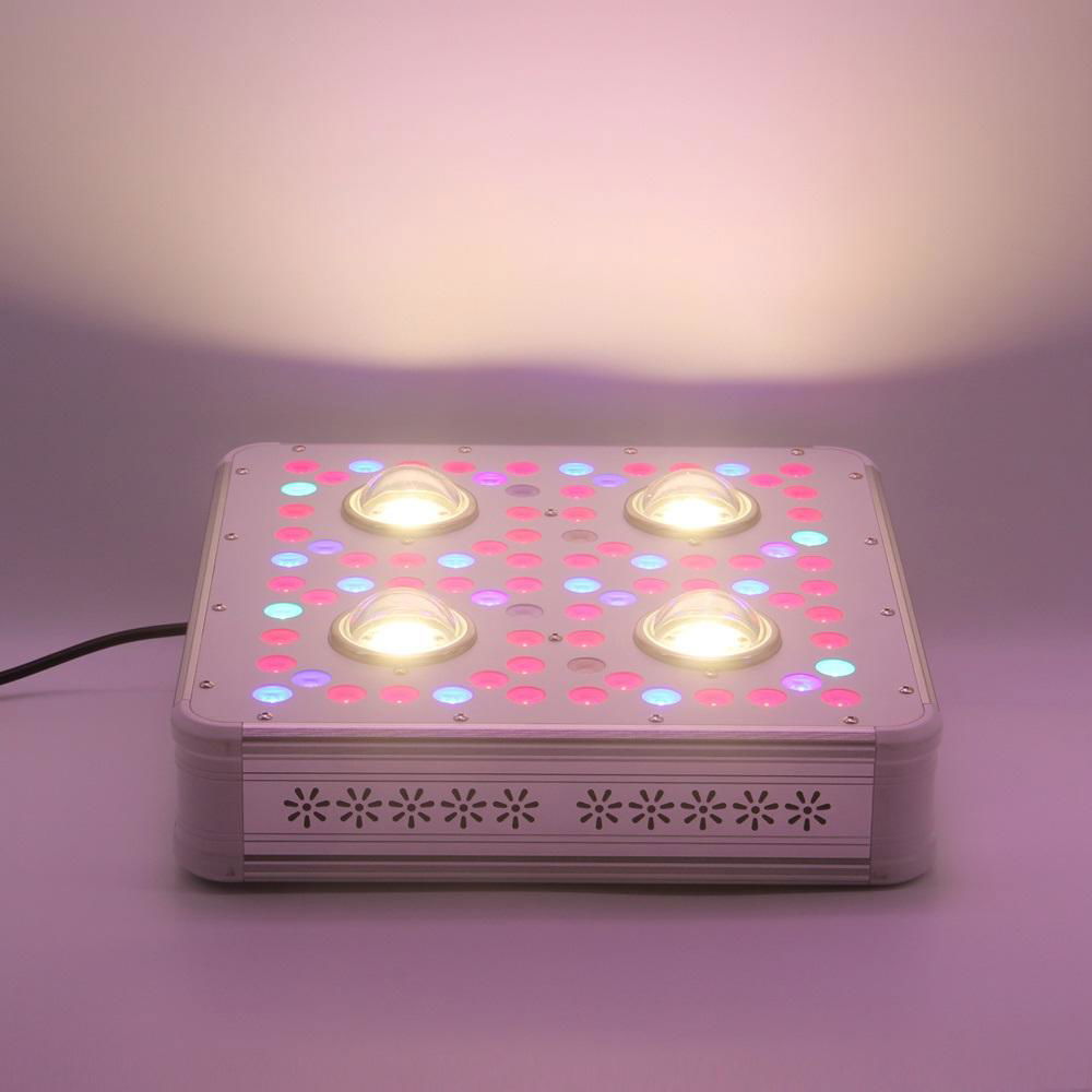 New best 300w led grow light crees COB with 3w chip 360W cob led grow light