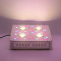 New best 300w led grow light crees COB with 3w chip 360W cob led grow light 1