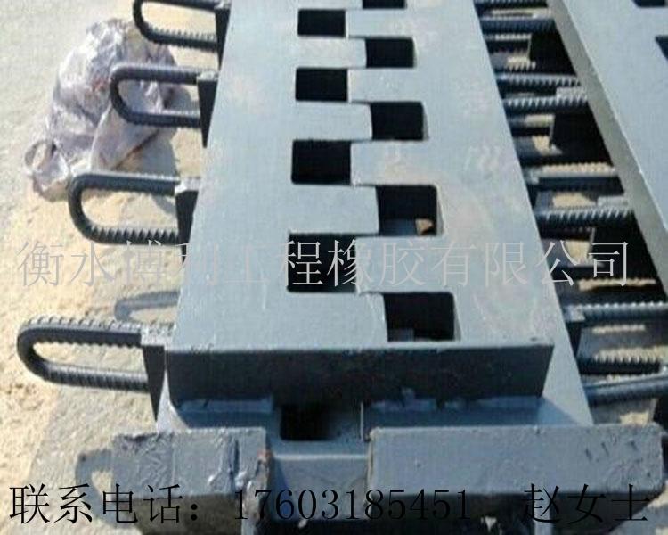 供应江西桥梁伸缩缝    SF梳齿型桥梁伸缩缝 2