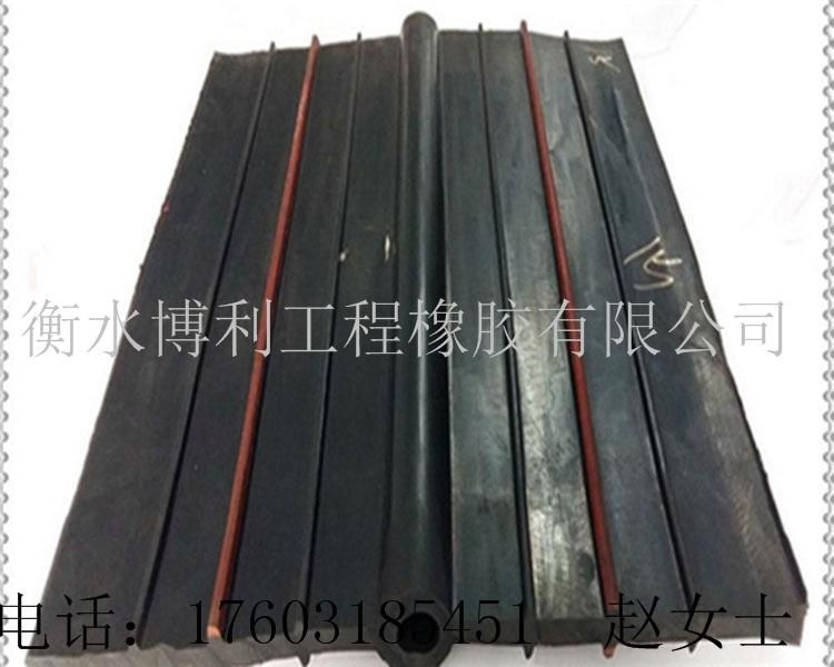 供应遇水膨胀橡胶止水带 2