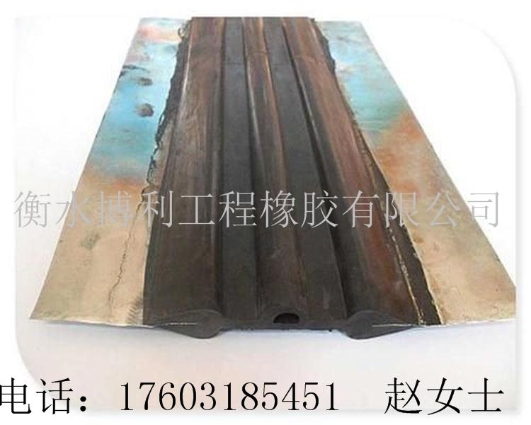 供应钢边式橡胶止水带 2