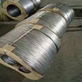 Hot Dipped Galvanized Iron Wire