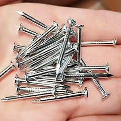 High quality Galvanized Steel Nails