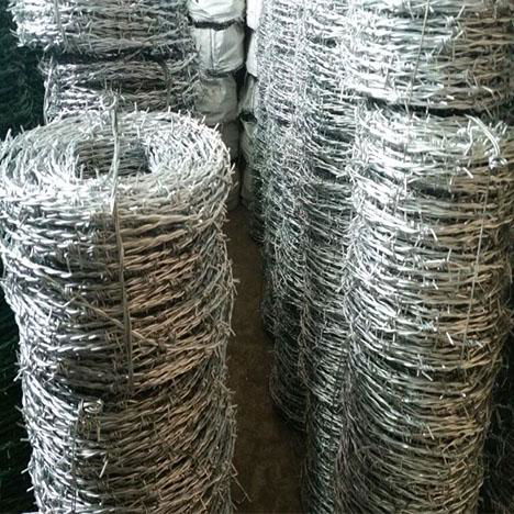 Galvanized barbed wire 2