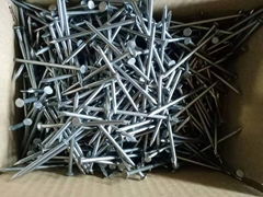Q195 Common Iron Wire Nails