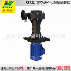 Vertical Pump SEB5022/5032/6552/7572/100152 FRPP