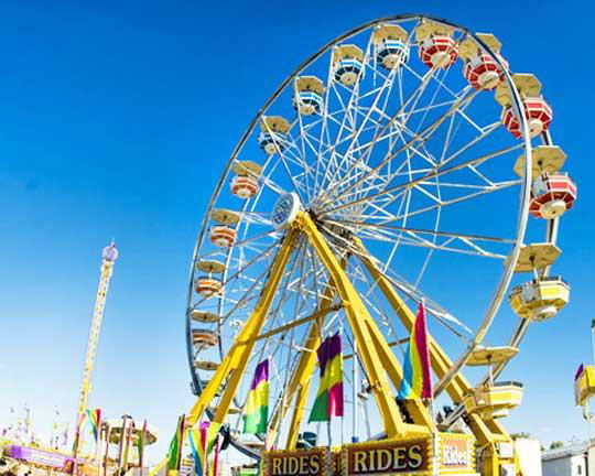 ferris wheel giant wheel wonder wheel manufacturer supplier factory 2